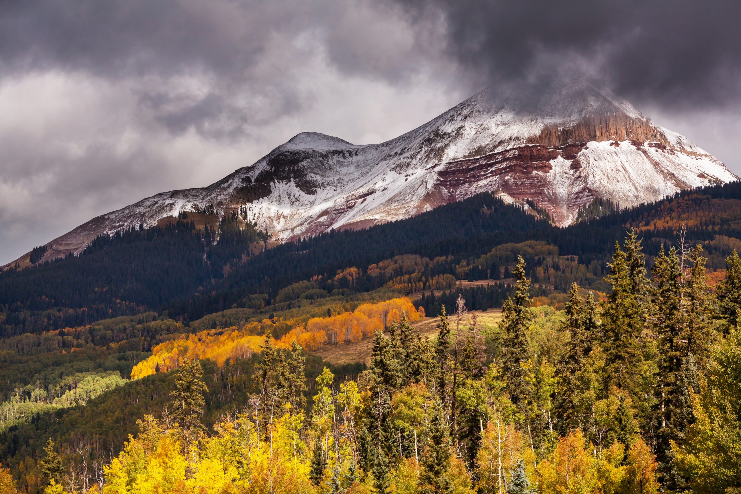 CBD in Colorado Pharmacies