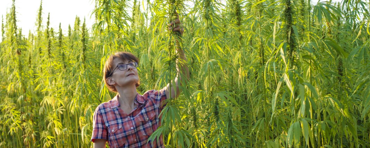 The Remarkable World of Hemp