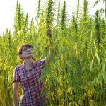 The Remarkable World of Hemp