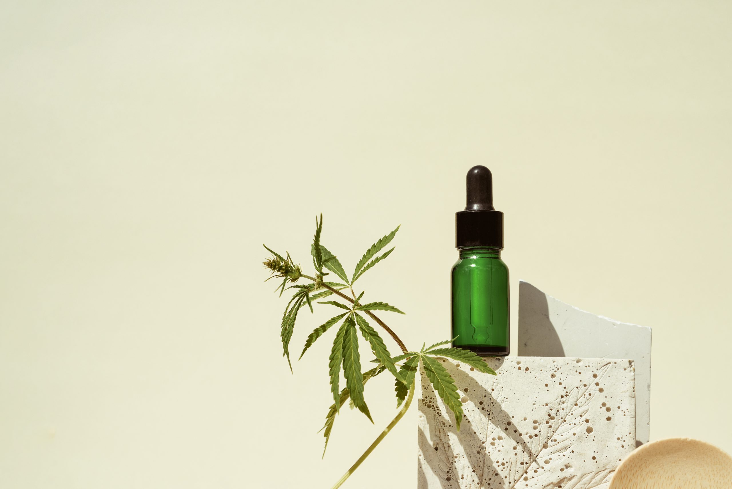 CBD and Your Health