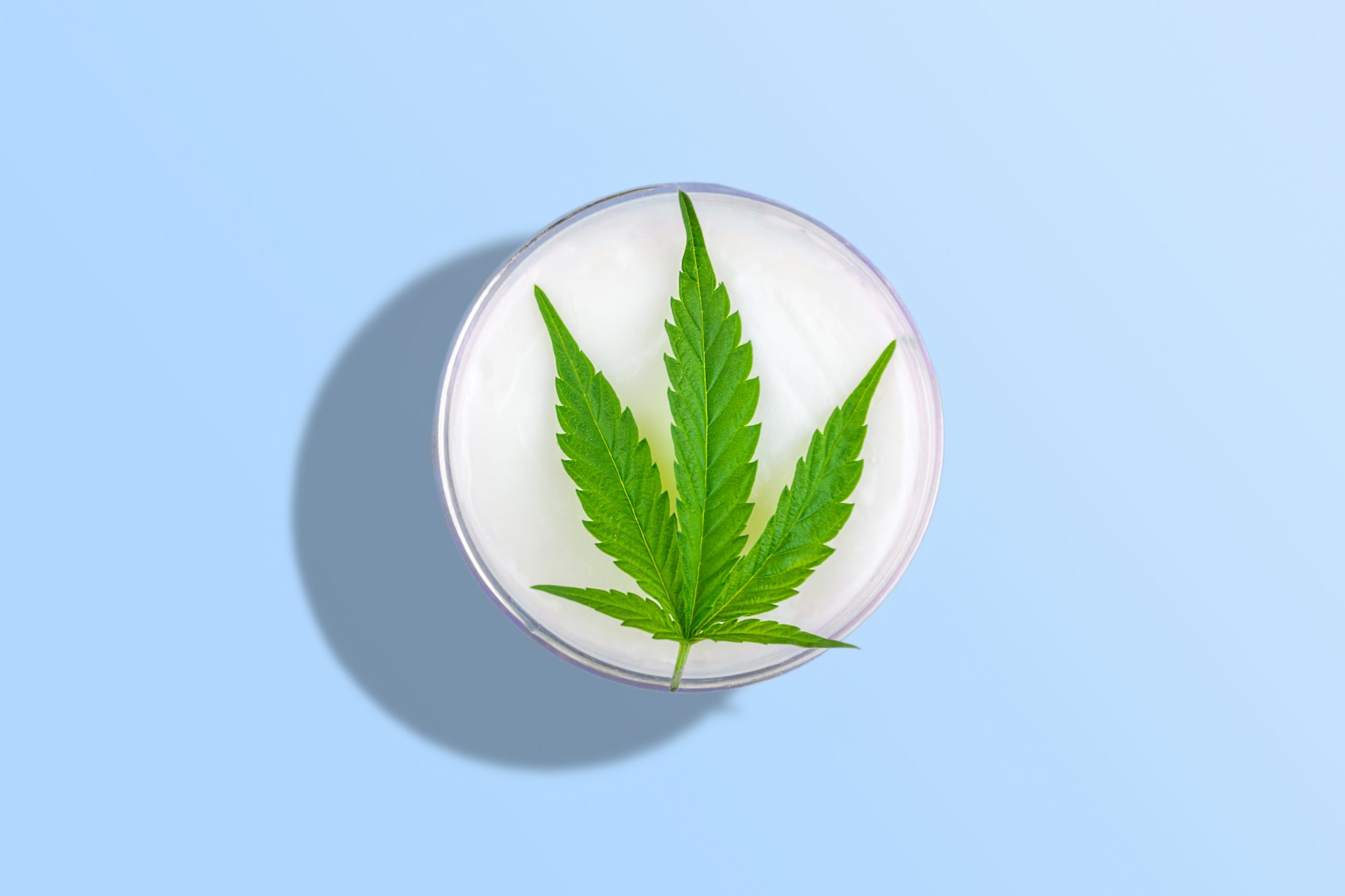 CBD Salve Stick