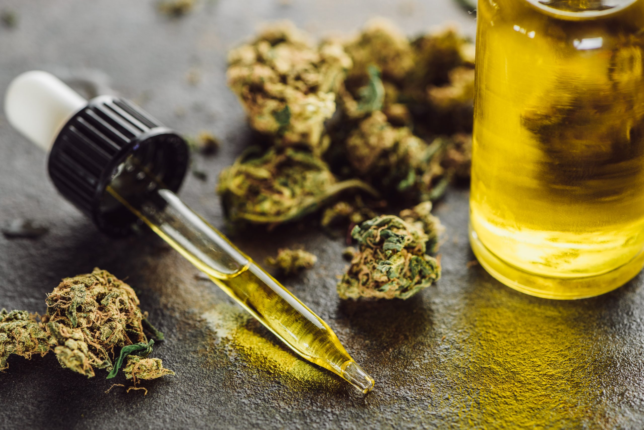 CBD and the Human Body