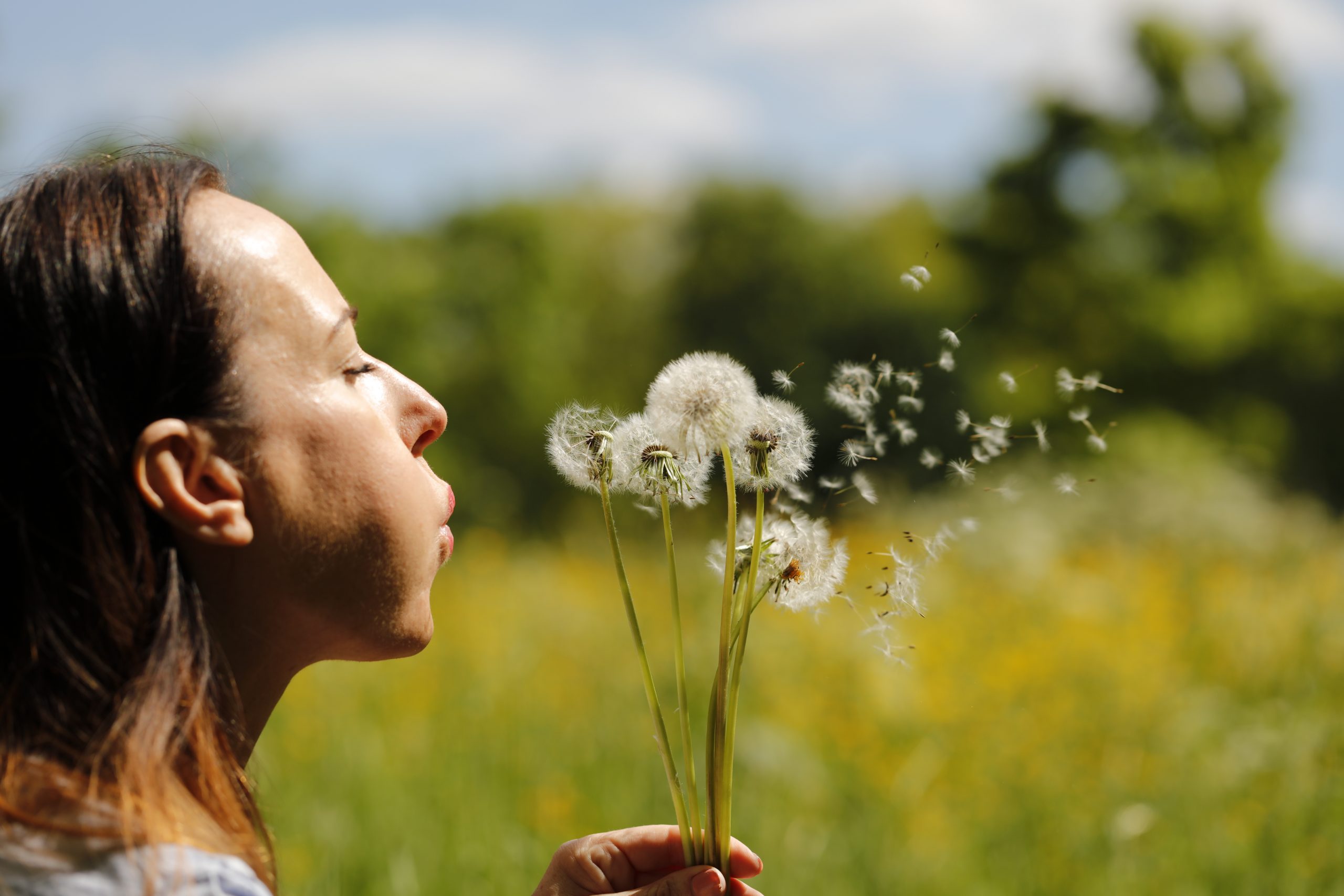 CBD and Spring Allergies