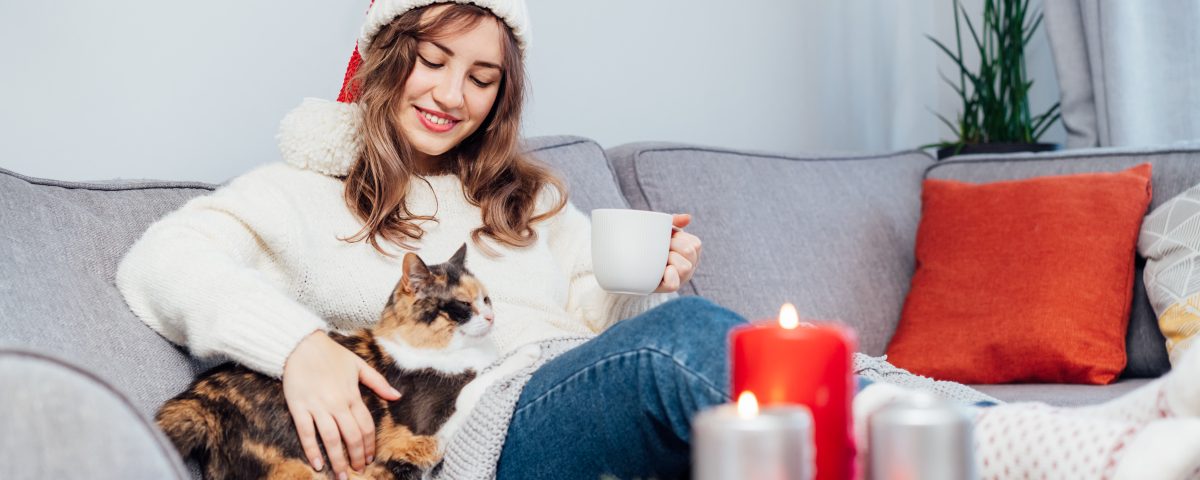 Embracing Pet Wellness: A Guide for End-of-Year Care